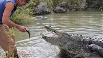 Jacaré Morris, que tinha 80 anos, faleceu na última semana - Divulgação/Colorado Gators Reptile Park