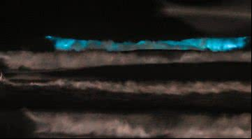 Fenômeno da bioluminescência, no Rio Grande do Sul - Divulgação/Sérgio Ordobás