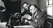 Cena do filme 'A Lista de Schindler' (1993) - Divulgação/ Amblin Entertainment