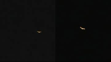 Imagens com zoom postadas pelo engenheiro Rony Vernet - Reprodução/Twitter/RonyVernet