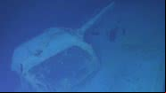 Registro do USS Samuel B. Roberts - Divulgação/Vídeo