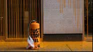 Fotografia de propaganda da 'Just Stop Oil', grupo responsável por jogar sopa de tomate em pintura de Van Gogh - Getty Images