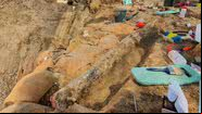 Presa encontrada em Israel - Divulgação / Israel Antiquities Authority