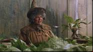 Miriam Margolyes, como professora Sprout, em Harry Potter e a Câmara Secreta - Reprodução/Vídeo/YouTube/Harry Potter